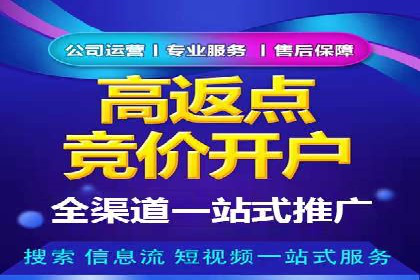 竞价推广中的数据监控与策略调整——一则成功案例